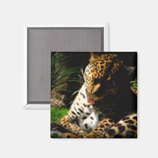 Badeleopard Magnet (Vorderseite/Rückseite)