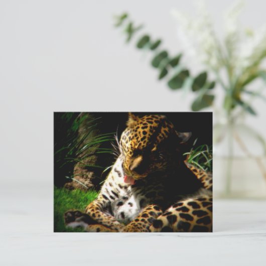 Badeleopard Postkarte (Stehend Vorderseite)