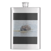 Badelephant Flachmann (Vorderseite)