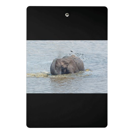 Badelephant Mini Klemmbrett (Rückseite)