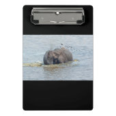 Badelephant Mini Klemmbrett (Vorderseite)
