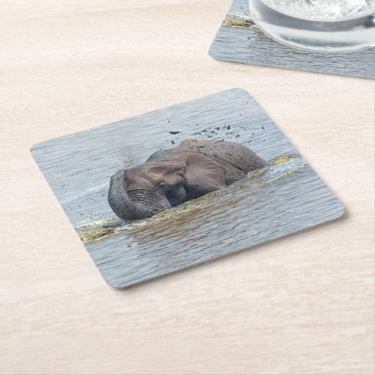 Badelephant Rechteckiger Pappuntersetzer (angewinkelt)