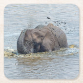 Badelephant Rechteckiger Pappuntersetzer (Vorderseite)