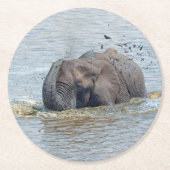 Badelephant Runder Pappuntersetzer (Vorderseite)