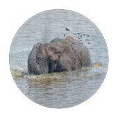 Badelephant Schneidebrett (Vorderseite)