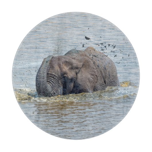 Badelephant Schneidebrett (Vorderseite)