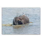 Badelephant Tischnummer (Vorderseite)