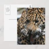 Bademeister Postkarte (Vorne/Hinten)