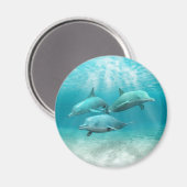 Baden-Delphine Magnet (Vorderseite/Rückseite)