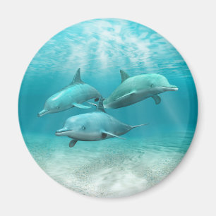 Baden-Delphine Magnet