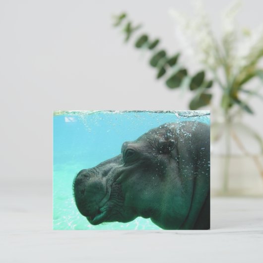 Baden Hippo Postkarte (Stehend Vorderseite)