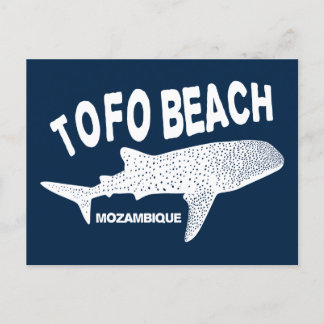 Baden mit Wale Sharks - Tofo Beach Mosambik Postkarte