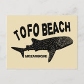 Baden mit Wale Sharks - Tofo Beach Mosambik Postkarte (Vorderseite)