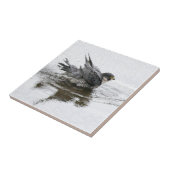 Baden Schönheits-der kleinen Keramik-Fliese Fliese (Seite)