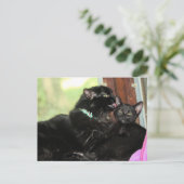 Badenzeit Feiertagspostkarte (Stehend Vorderseite)