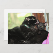 Badenzeit Feiertagspostkarte (Vorne/Hinten)