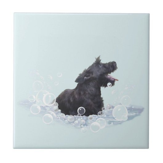 Badenzeit Fliese (Vorderseite)