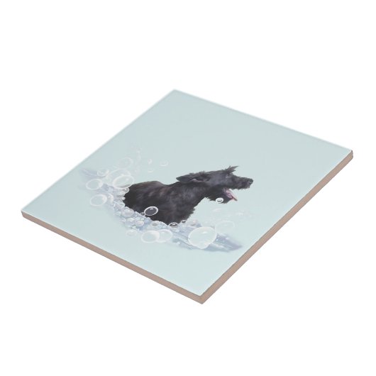 Badenzeit Fliese (Seite)