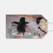 Badenzeit Geschenkanhänger (Vorderseite (Horizontal))