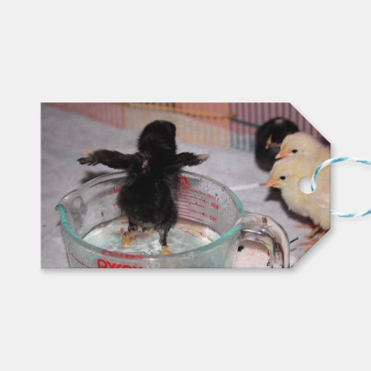 Badenzeit Geschenkanhänger (Vorderseite (Horizontal))