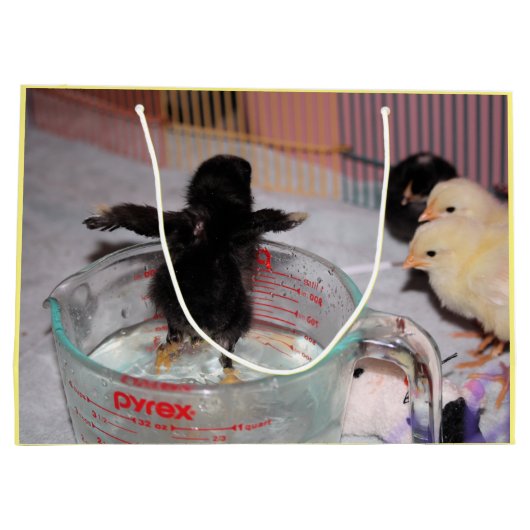 Badenzeit Große Geschenktüte (Rückseite)