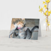 Badenzeit Karte (Gelbe Blume)