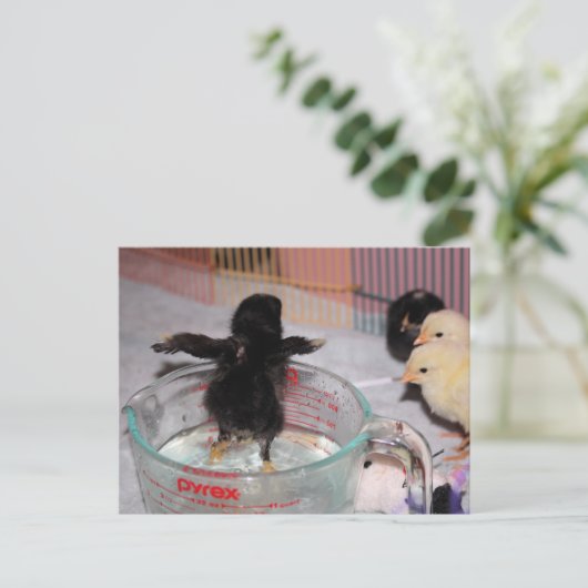 Badenzeit Postkarte (Stehend Vorderseite)