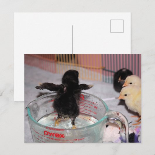 Badenzeit Postkarte (Vorne/Hinten)