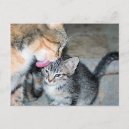 Badenzeit Postkarte