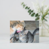 Badenzeit Postkarte (Stehend Vorderseite)