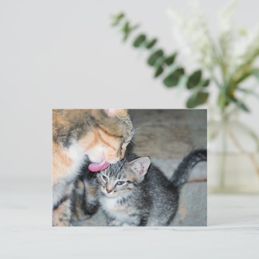 Badenzeit Postkarte (Stehend Vorderseite)