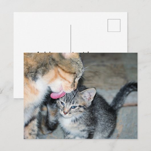 Badenzeit Postkarte (Vorne/Hinten)