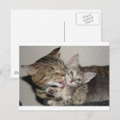 Badenzeit Postkarte (Vorne/Hinten)