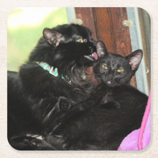 Badenzeit Rechteckiger Pappuntersetzer (Vorderseite)