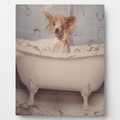 BADEPUPPY FOTOPLATTE (Vorderseite)