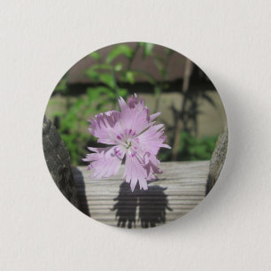 Bäder Pink Dianthus auf Zaun Button