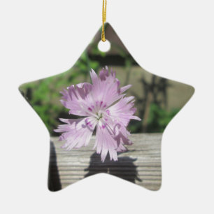 Bäder Pink Dianthus auf Zaun Keramik Ornament