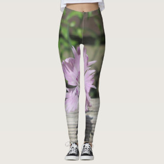 Bäder Pink Dianthus auf Zaun Leggings