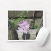 Bäder Pink Dianthus auf Zaun Mousepad (Mit Mouse)