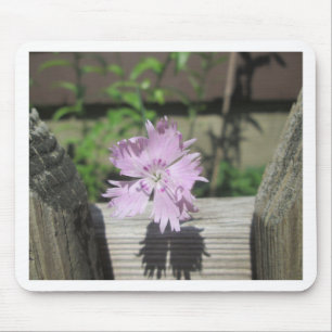 Bäder Pink Dianthus auf Zaun Mousepad