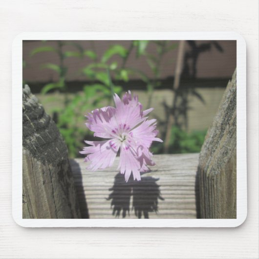 Bäder Pink Dianthus auf Zaun Mousepad (Vorne)