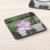 Bäder Pink Dianthus auf Zaun Untersetzer (Linke Seite)