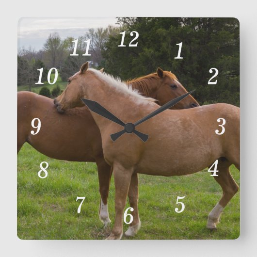 Baderauer Uhr (Vorderseite)