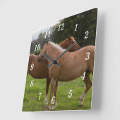 Baderauer Uhr (Winkel)