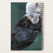 Badeseen Planer (Rückseite)