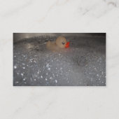 Badewanne Visitenkarte (Rückseite)
