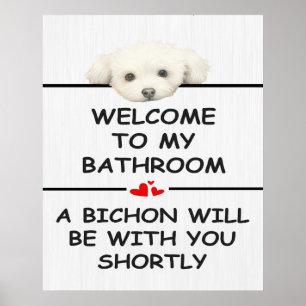 Badezimmer Bichon Frise Poster
