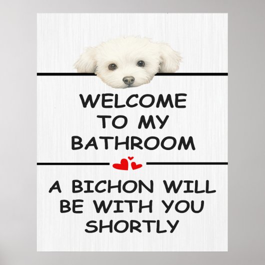 Badezimmer Bichon Frise Poster (Vorne)