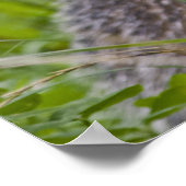 Badge Print Poster (Ecke)