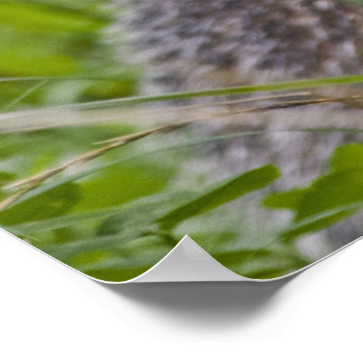 Badge Print Poster (Ecke)